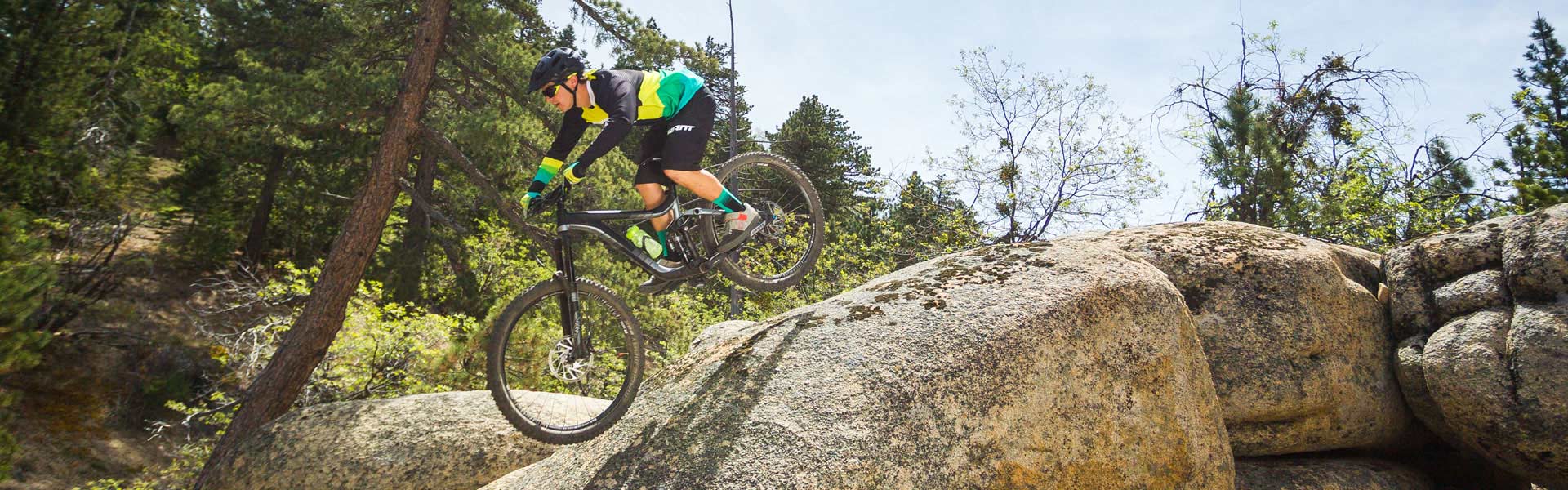 Reign 27.5