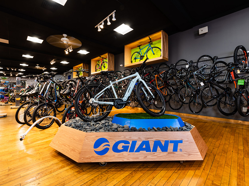 Visit the website of South Mountain Cycles