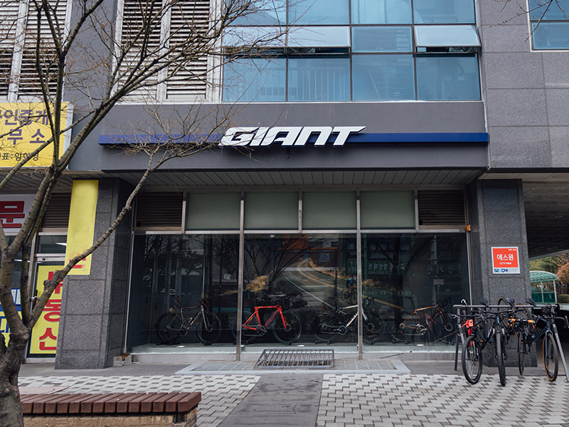 Visit the website of 댄디바이크