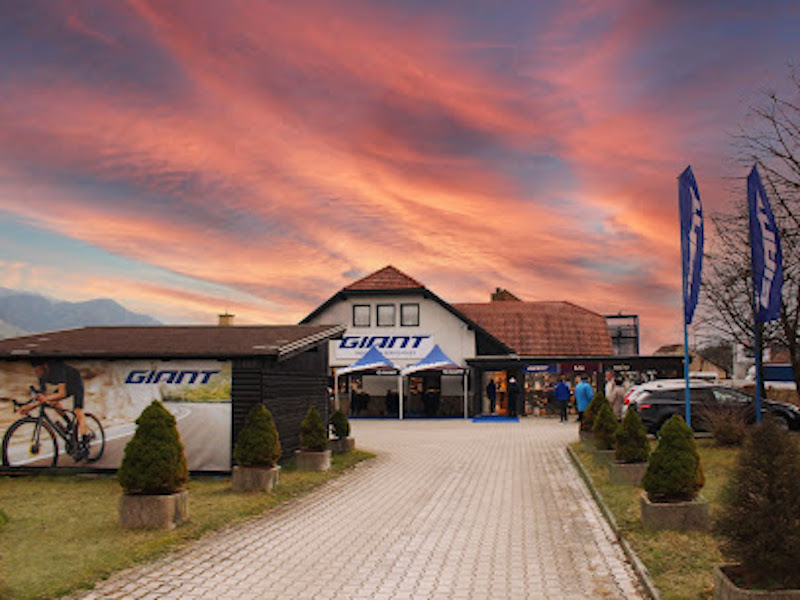 Visit the website of Giant Slovenj Gradec-Freestyle