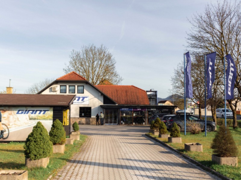 Visit the website of Giant Slovenj Gradec-Freestyle