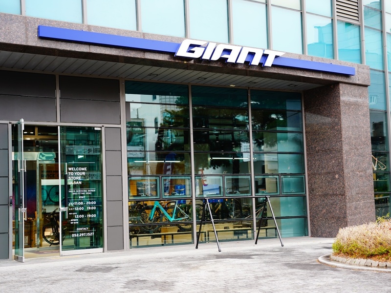 데이빗 사이클