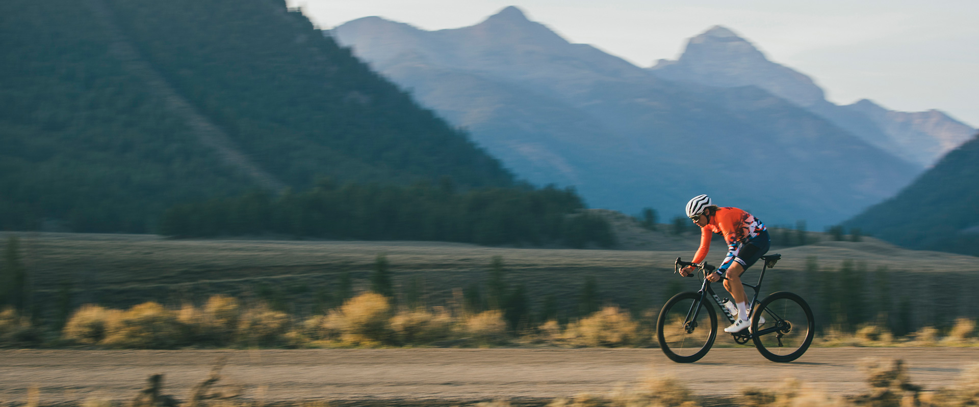 giant revolt bike