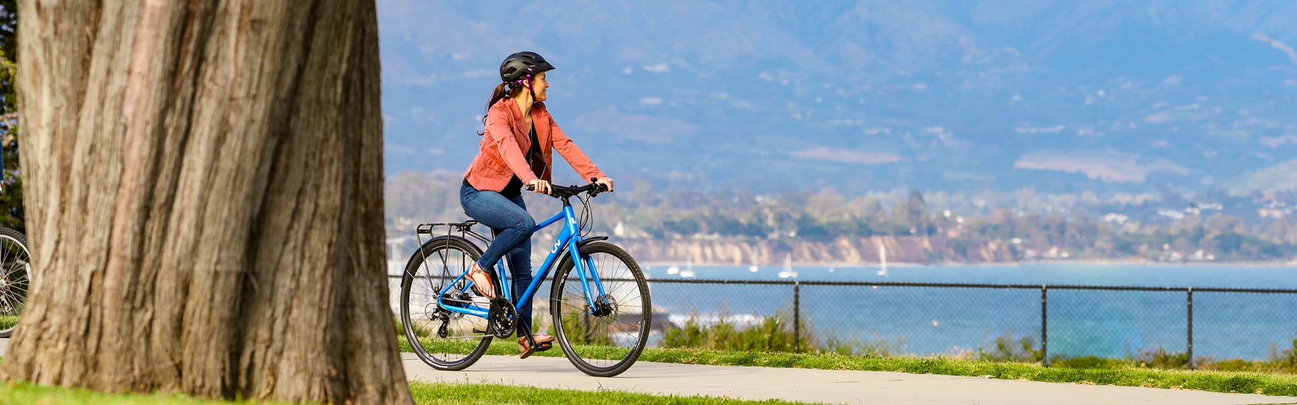 Giant alight online bike