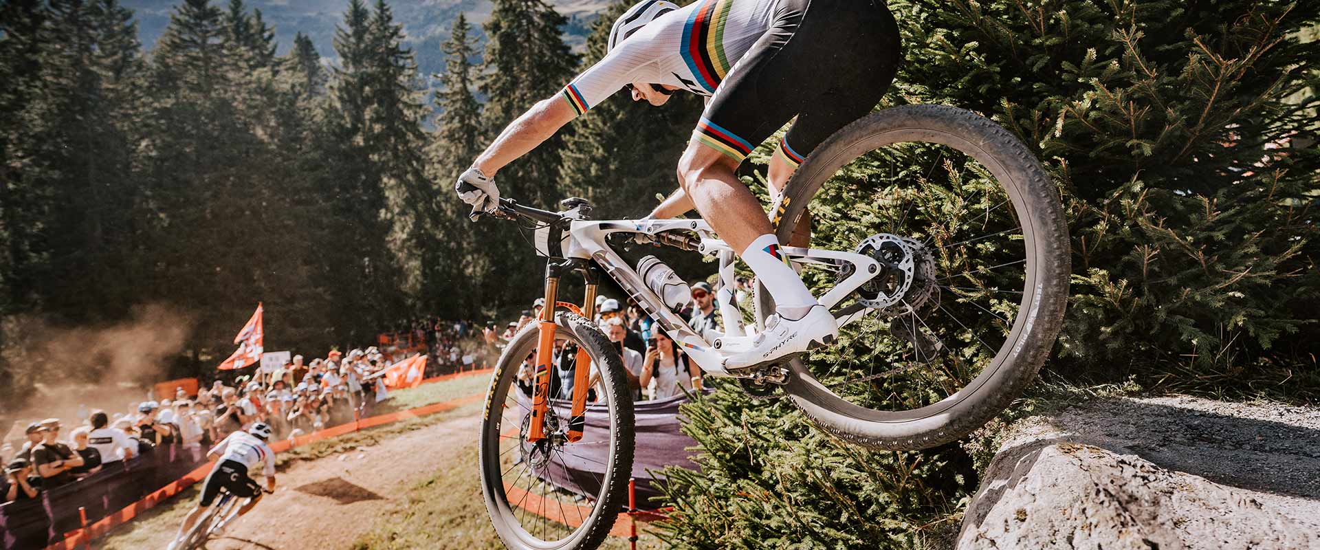 Anthem Advanced SL (2026) | Giant Bicycles Japan 日本