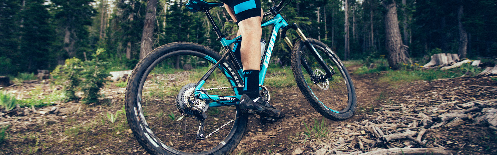 2018 Fathom Giant Bicycles Canada