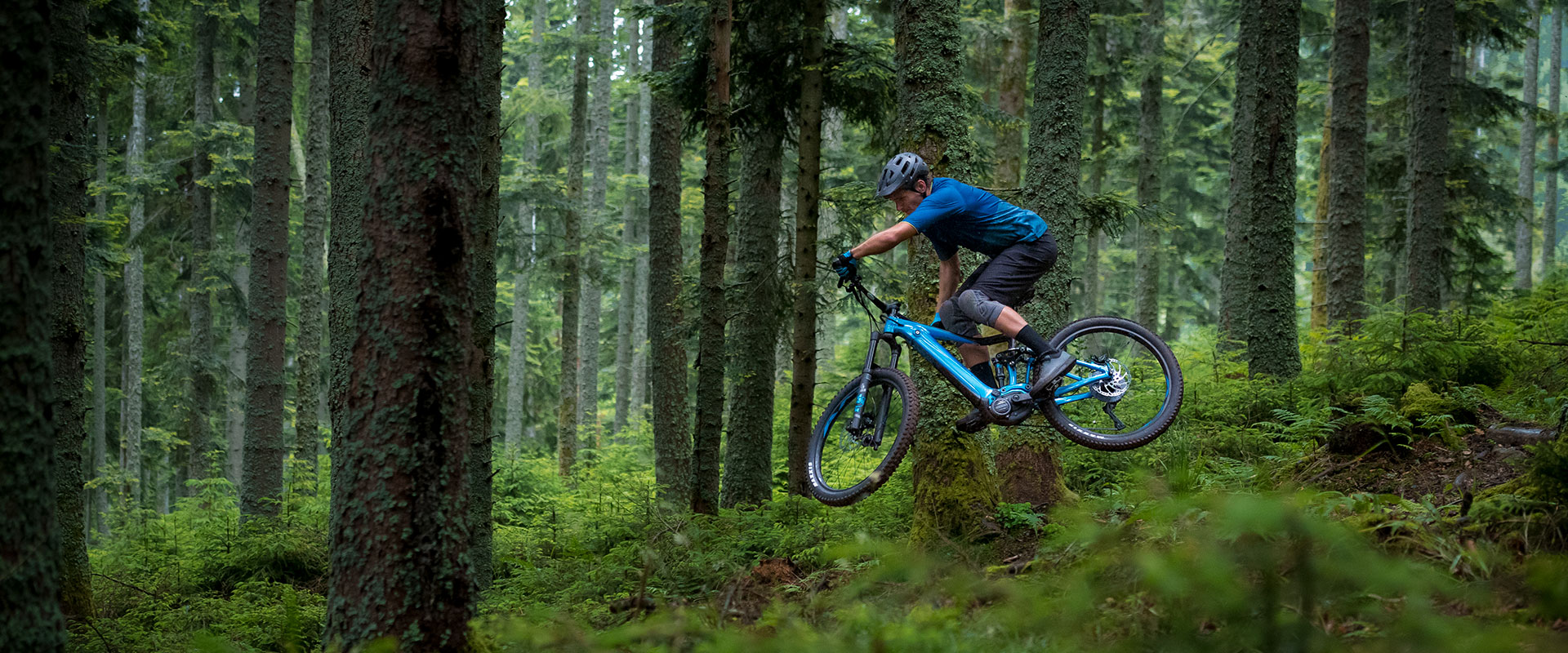 giant e bike trance 2020