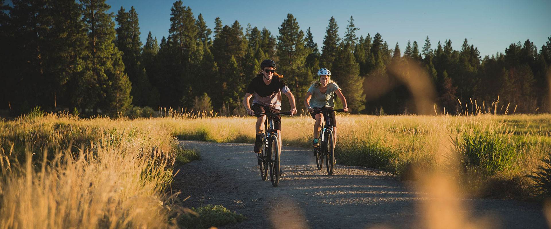 Giant cheap roam bicycle