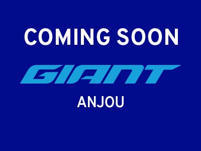 Visit the website of Giant Anjou