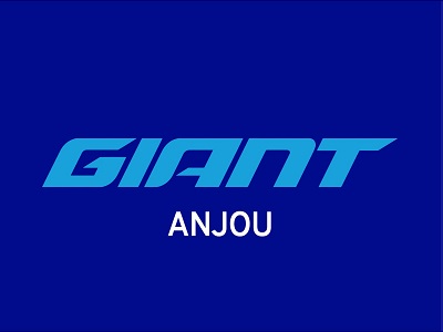 Visit the website of Giant Anjou