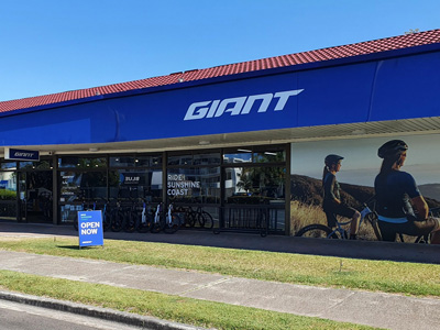 giant strathpine