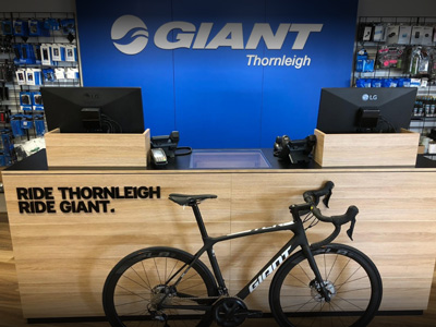 giant strathpine