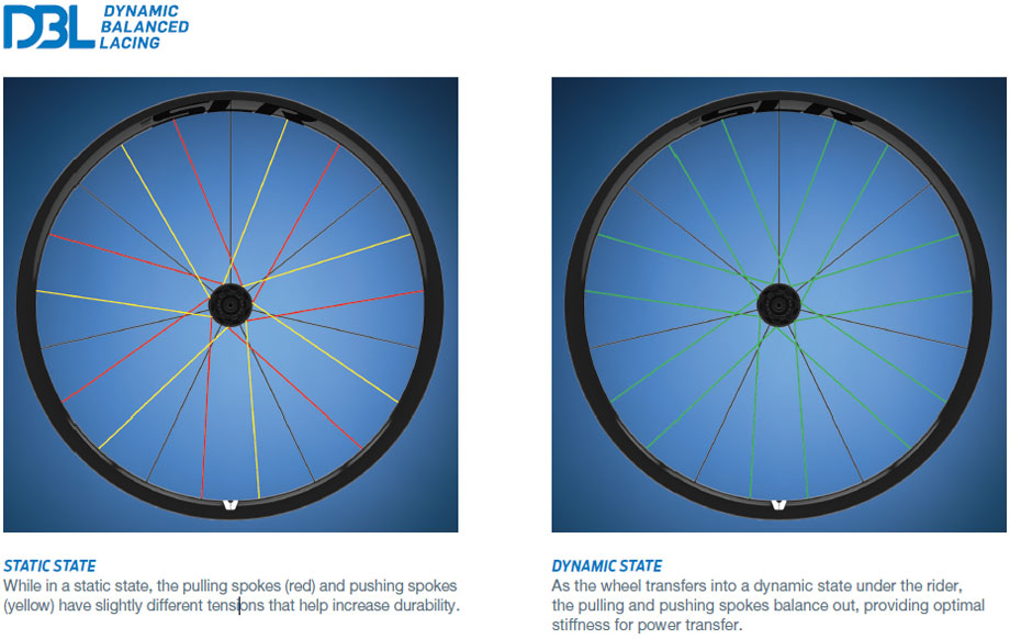 Spokes in cycle online wheel