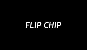 Flip Chip