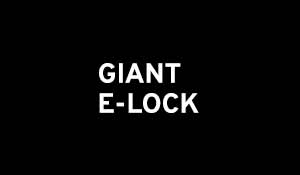 GIANT E-LOCK SYSTEM