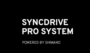 Sistema SyncDrive Pro