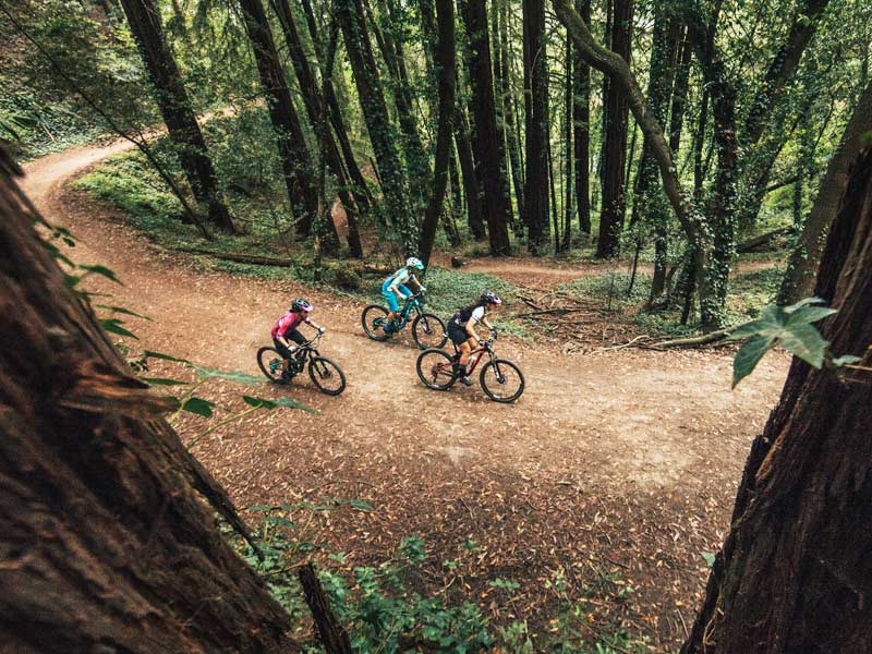 Off-Road Bikes
