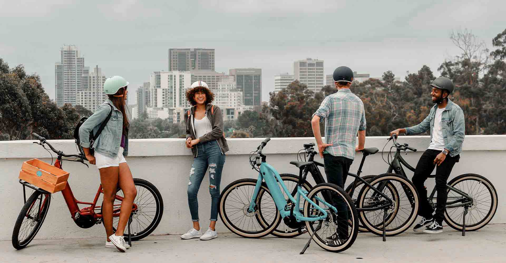All Momentum Bicycles